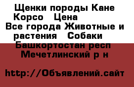 Щенки породы Кане-Корсо › Цена ­ 25 000 - Все города Животные и растения » Собаки   . Башкортостан респ.,Мечетлинский р-н